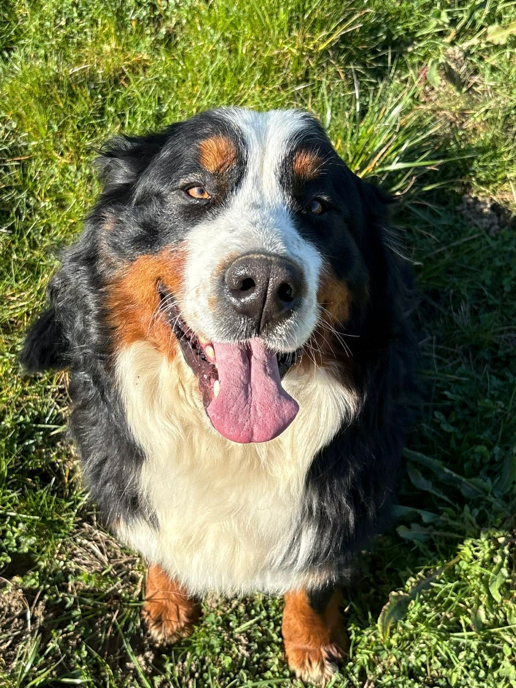 Uska Du Pont Pyrimont