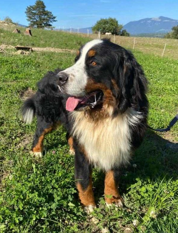 Salto Du Clos Des Frasses