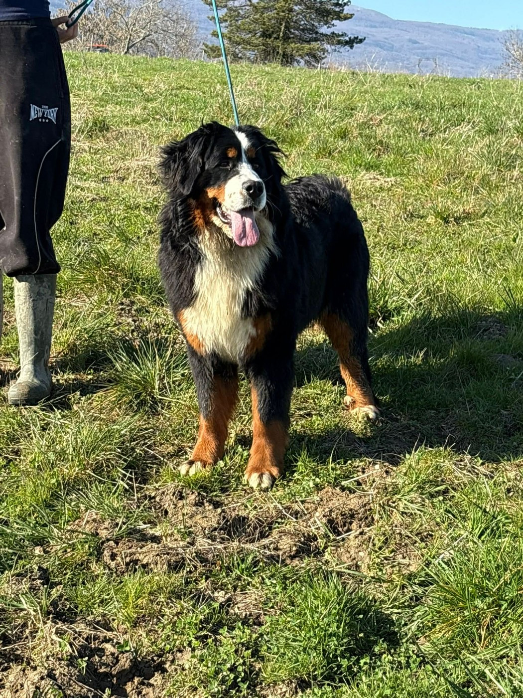 April Du Pont Pyrimont