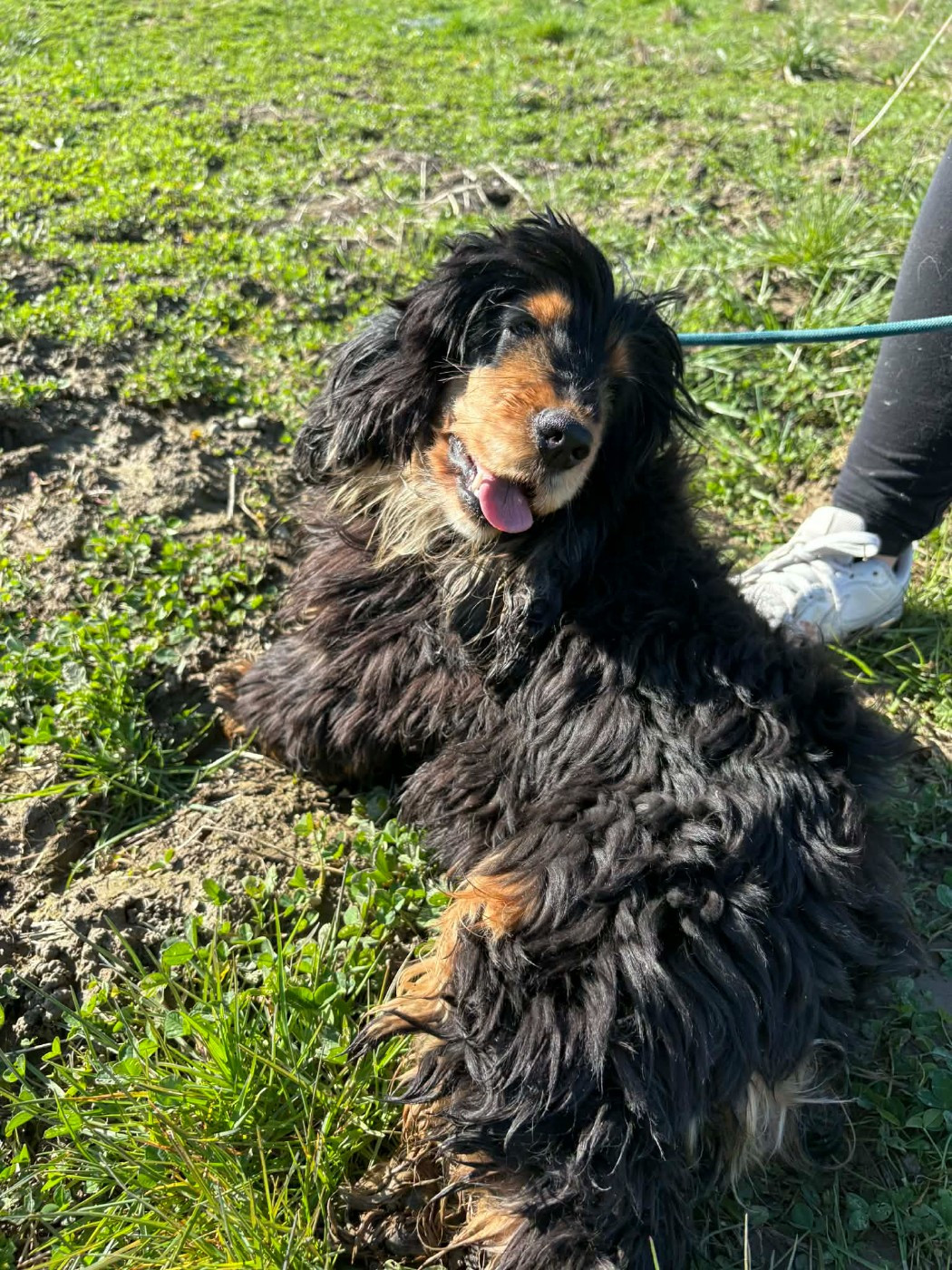 una Du Pont Pyrimont