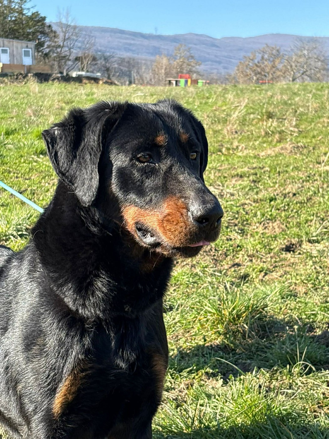 Uguette Du Pont Pyrimont